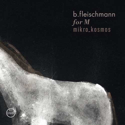 B.Fleischmann - For M/Mikor Kosmos